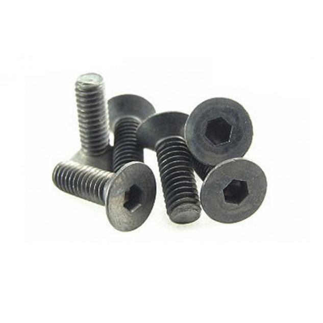 Team Magic 4x12mm Steel F.H. Screw (6)