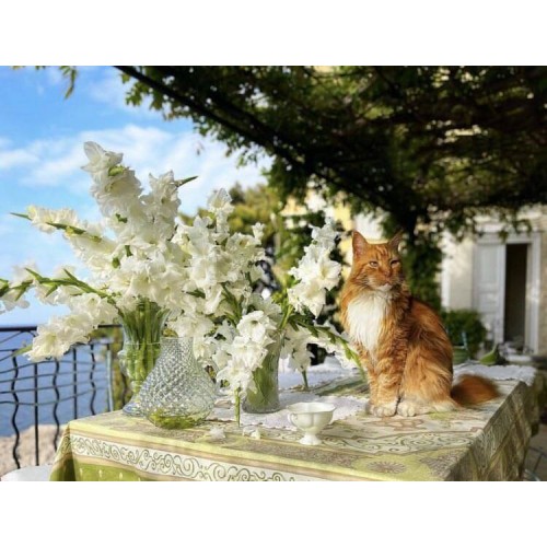 Алмазна мозаїка Кіт серед квітів 30*40см на рамці в кор.31*41*2 5см ТМ Dreamtoys