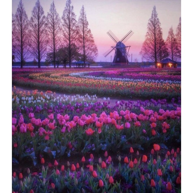 Алмазна мозаїка Тюльпани на заході 30*40см на рамці в кор.31*41*2 5см ТМ Dreamtoys