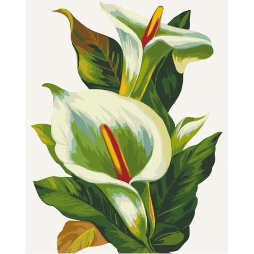Картина за номерами "Білі калли" лак 40*50см, термопакет, ТМ ART Craft, Україна