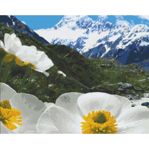 Картина за номерами "Альпійські маки" 40*50см, термопакет, ТМ ART Craft