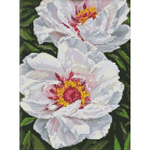 Алмазна мозаїка "Білі півонії" 30х40см, в термопакеті, ТМ Ідейка