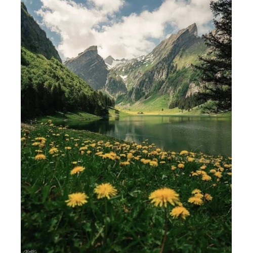 Алмазна мозаїка "Гірський спокій", 30*40см, на рамці, в кор.31*41*2,5см, ТМ Dreamtoys