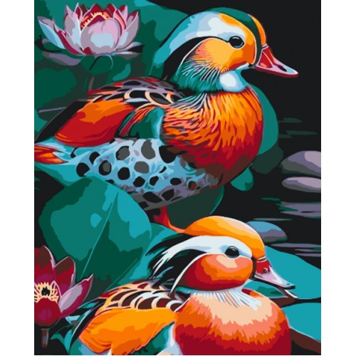 Картина за номерами "Качки мандаринки" 40*50см, ТМ ART Craft