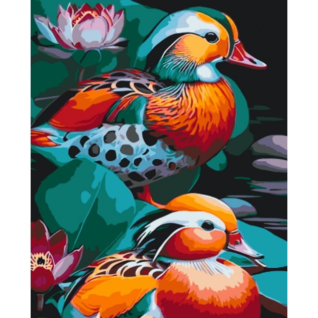 Картина за номерами "Качки мандаринки" 40*50см, ТМ ART Craft