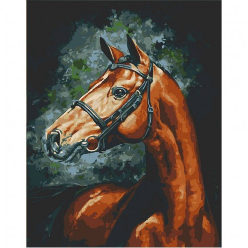 Картина за номерами "Гордий скакун" лак 40*50см, ТМ ART Craft