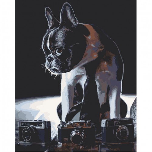 Картина за номерами "Сором'язливий фотограф" лак 40*50см, термопакет, ТМ ART Craft