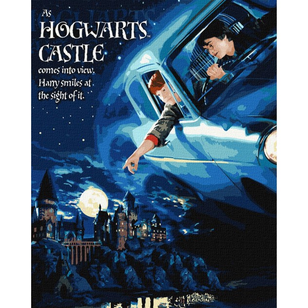 Картина за номерами WB "Harry Potter: Політ на авто з фарбами металік" 40х50см, термопакет, ТМ Ідейк