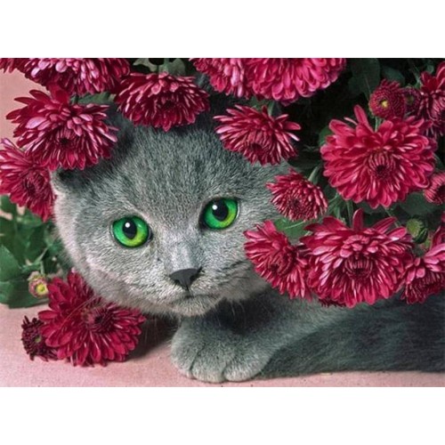 Алмазна мозаїка "Кіт у квітах", 30*40см, з рамкою, кор. 41*31*2,5см