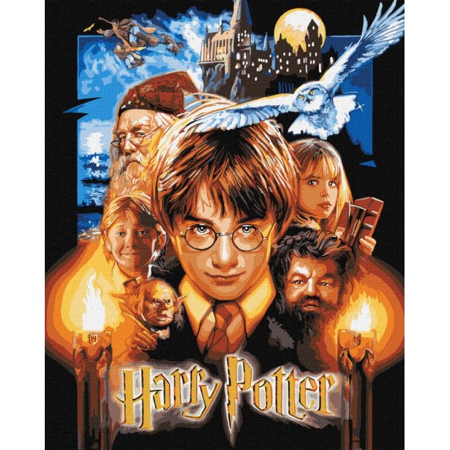 Картина за номерами WB "Harry Potter: Постер з фарбами металік" 40х50см, термопакет, ТМ Ідейка, Укра