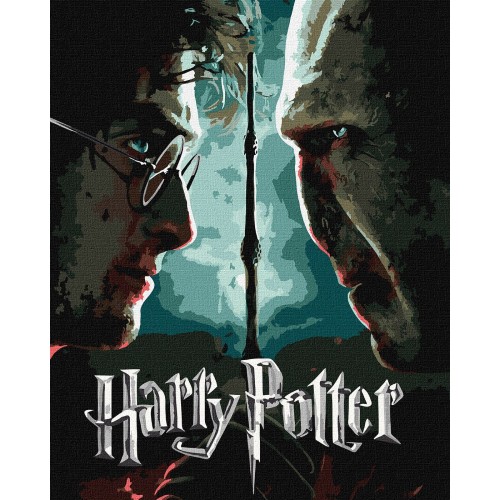 Картина за номерами WB "Harry Potter: Гаррі та Волдеморт з фарбами металік extra" 40*50см, термопаке