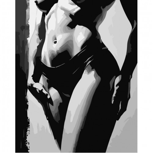 Картина за номерами "Контури бажання" 40*50см, термопакет, ТМ ART Craft