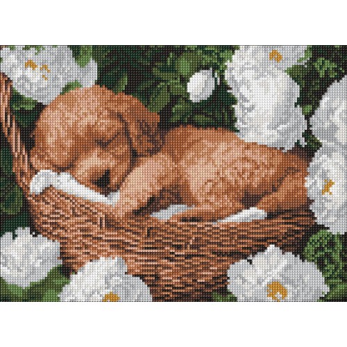 Алмазна мозаїка "Сплячий пудель" 30x40см, термопакет, ТМ Ідейка